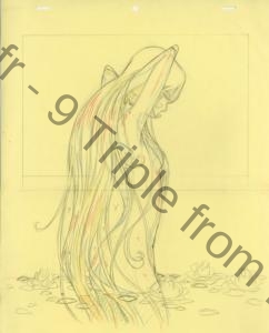 Maetel